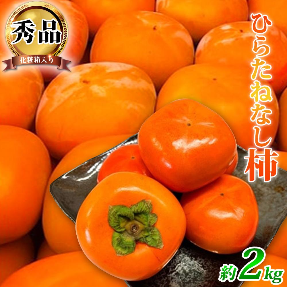 【ふるさと納税】和歌山秋の味覚 平核無柿(ひらたねなしがき)約2kg 化粧箱入 | 和歌山 和歌山県 上富田町 返礼品 支援 お取り寄せ ご当地 お土産 柿 かき カキ 特産品 名産品 果物 くだもの フルーツ たねなし 種無し 食品 楽天ふるさと 納税 農産物