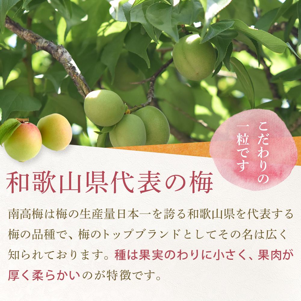 【ふるさと納税】【2024年5月下旬以降発送】訳あり 紀州南高梅(青梅) 2.5kg〈Lサイズ〉 | 梅 食品 人気 おすすめ 送料無料