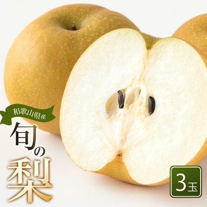 和歌山県産 旬の梨 3玉（4Lサイズ） 【2024年8月中旬以降順次発送】【MG18】 | フルーツ 果物 くだもの 食品 人気 おすすめ 送料無料
