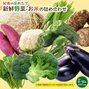 10位! 口コミ数「0件」評価「0」紀南の採れたて新鮮野菜・お米詰め合わせセット（8〜12品目詰め合わせ）