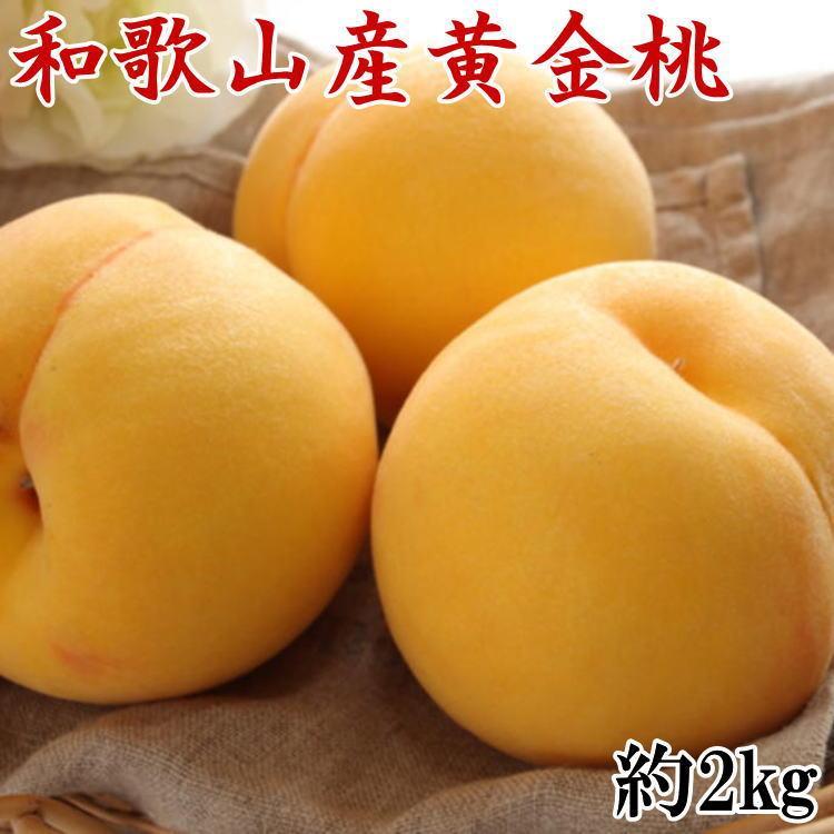【ふるさと納税】人気 和歌山県産 黄金桃（つきあかり） 約2