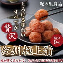 27位! 口コミ数「1件」評価「4」【紀州南高梅】紀州極上漬( 1kg×1箱） | 梅干し 梅干 和歌山県 お取り寄せ うめ 梅 ご当地 お土産 ご飯のお供 ご飯のおとも ごは･･･ 