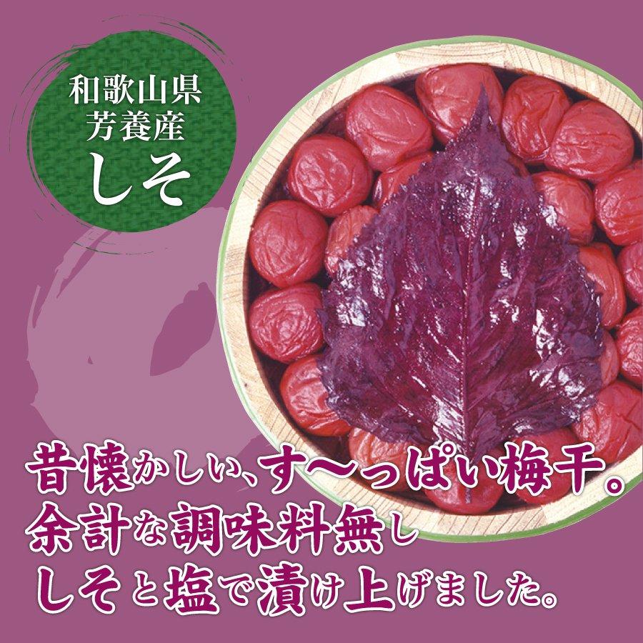 【ふるさと納税】徳用　しそ漬梅 (1.8kg×1箱） | 梅干し 梅干 和歌山 和歌山県 お取り寄せ 取り寄せ うめ 梅 ご当地 お土産 ご飯のお供 ご飯のおとも ごはんのお供 ご飯の友 ごはんのおとも 支援 上富田町 返礼品 うめぼし ウメ おにぎり 具 おにぎりの具 グルメ 国産