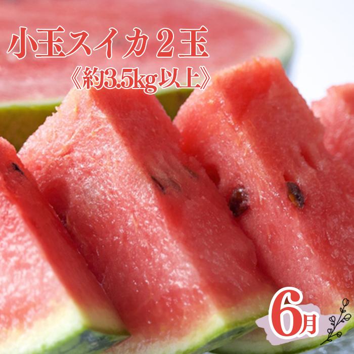 【ふるさと納税】定期便全3回　和歌山の人気の夏のフルーツをお届け！
