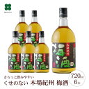 【ふるさと納税】本場紀州 梅酒 6本セット | 和歌山 和歌山県 上富田町 返礼品 支援 お取り寄せ ご当地 お土産 酒 お酒 紀州梅 アルコール飲料 その他 セット お酒セット 梅 うめ ウメ 地酒 名産品 特産品 お礼の品 楽天ふるさと 納税 土産