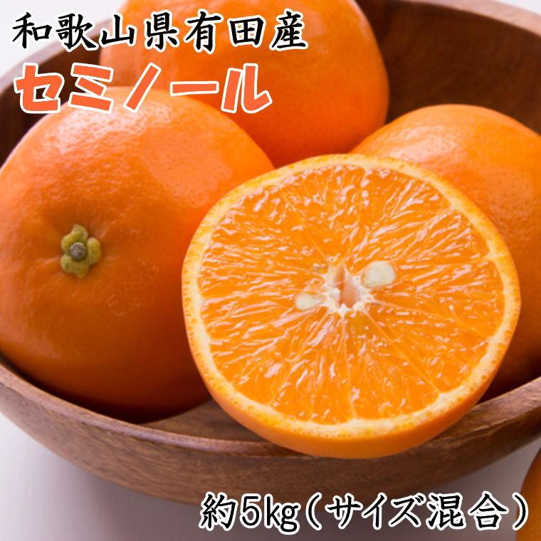 和歌山有田産セミノールオレンジ約5kg(サイズ混合)