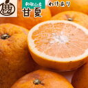 【ふるさと納税】<4月より発送> 家庭用 甘夏柑9kg+270g(傷み補償分)初夏のみかん・旬の果物 有田産 光センサー食べ頃出荷 訳あり わけあり [IKE7...