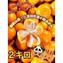 【ふるさと納税】【先行予約】小粒みかん2Kg 高糖度!みかんの里!【SmileFruitみかんキング厳選】2025年10月下旬以降順次発送 | 果物 くだもの ...