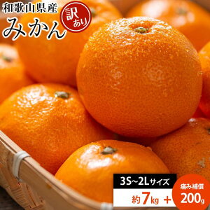【ふるさと納税】和歌山県産 糖度9.5度 以上 訳あり みかん 7kg 傷み補償+200g 3S ~ 2Lサイズ混合【MG58】 | フルーツ 果物 くだもの 食品 人気 おすすめ 送料無料