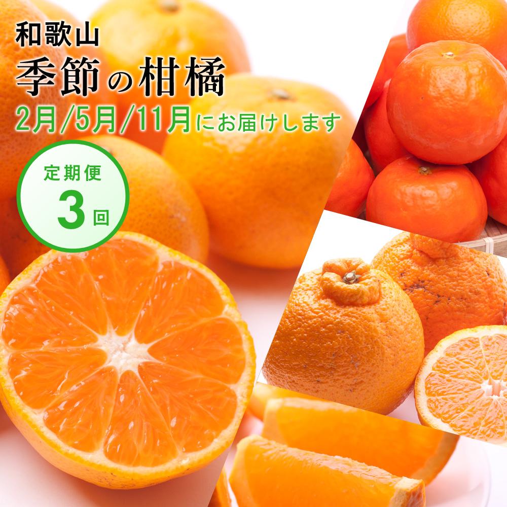 [ 2・5・11月 全3回 ] 柑橘定期便A[IKE7] | 柑橘 蜜柑 フルーツ 果物 くだもの 食品 人気 おすすめ 送料無料 定期便