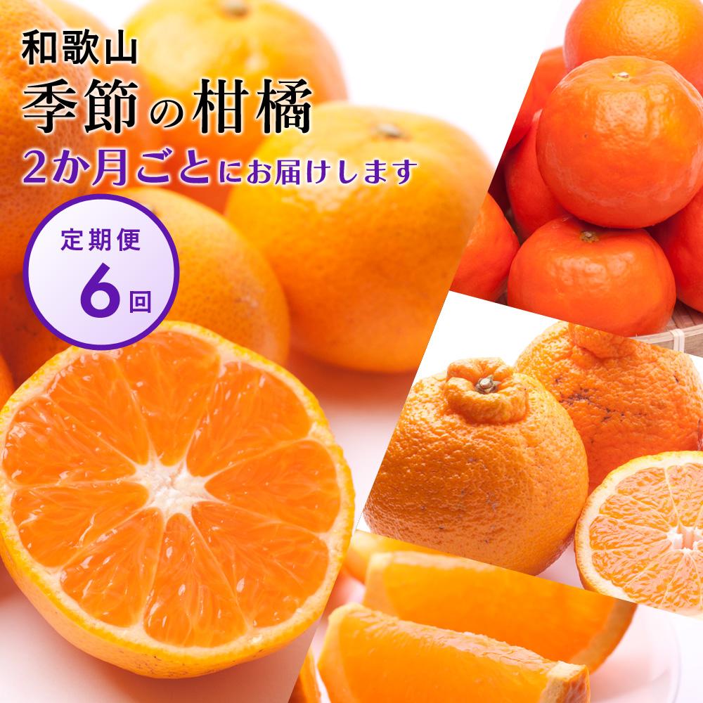 [偶数月 全6回 ] 柑橘定期便A[IKE13] | 柑橘 蜜柑 ジュース フルーツ 果物 くだもの 食品 人気 おすすめ 送料無料 定期便