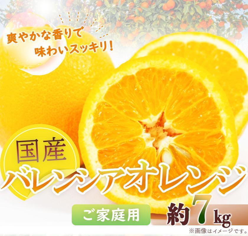 【ふるさと納税】希少な国産バレンシアオレンジ 7kg【ご家庭用訳あり】【2025年6月下旬頃~2025年7月上旬頃に順次発送】【UT77】 | 和歌山 上富田 故郷納税 柑橘 返礼品 支援 お取り寄せ ご当地 オレンジ みかん ミカン 果物 くだもの フルーツ 柑橘類