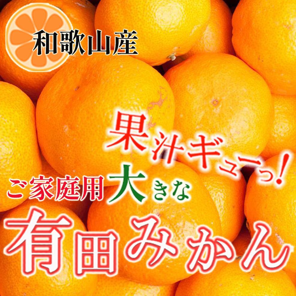 【ふるさと納税】家庭用 大きな有田みかん10kg+250g（傷み補償分）［2025年11月中旬から2026年1月下旬頃順次発送予定］［IKE243］ | フルーツ 果物 くだもの 食品 人気 おすすめ 送料無料のサムネイル