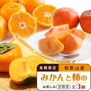 【ふるさと納税】【10・11・12月 全3回】和歌山産 みかんと柿のお楽しみ 定期便 【魚鶴商店】【UT111】 | フルーツ 果物 くだもの 食品 人気 おす...