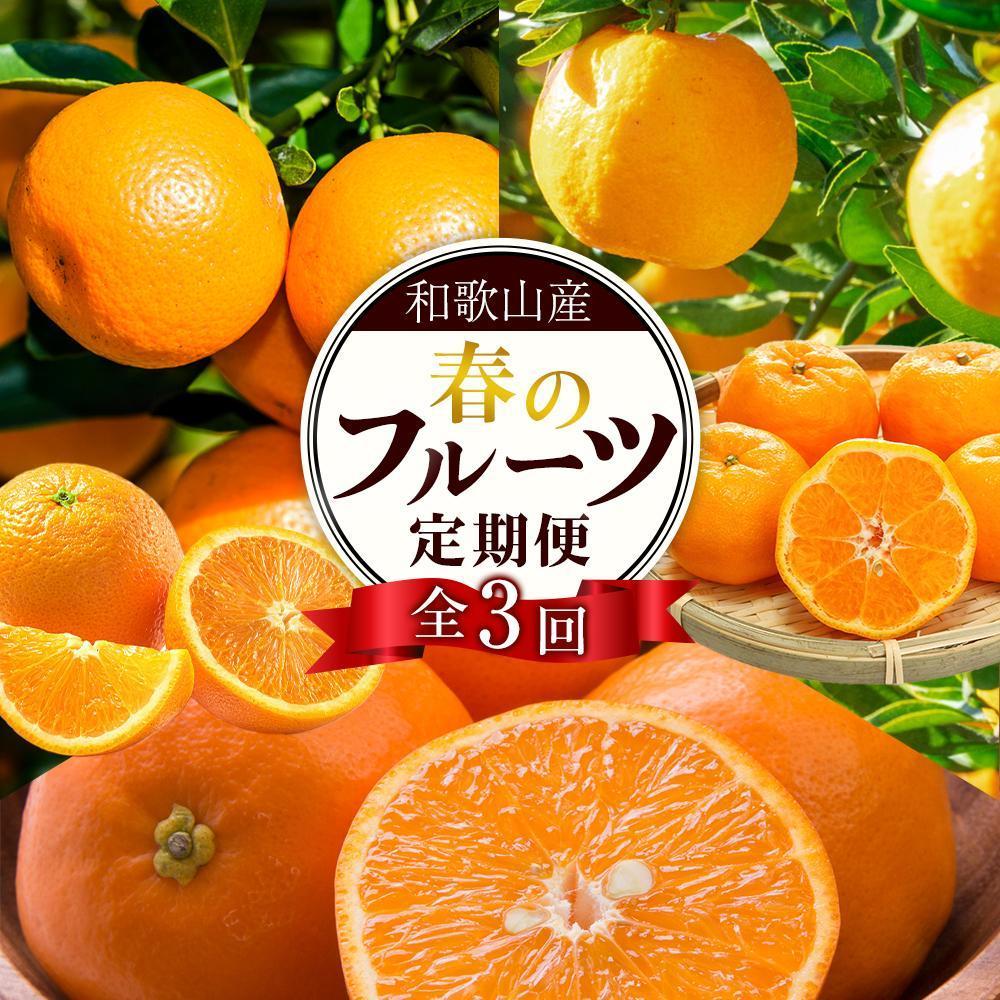 【ふるさと納税】和歌山の春のフルーツ(ポンカン・清見オレンジ・セミノールオレンジ)定期便 全3回 【2月・3月・4月発送】【TM184】 | フルーツ 果物 くだもの 食品 人気 おすすめ 送料無料 定期便 産地直送