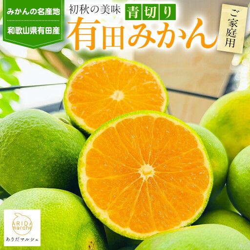 【ふるさと納税】有田育ちのご家庭用青切り有田みかん 約3~10kg 【 2025年9月~10月発送】 【ふるさと納税】有田育ちのご家庭用青切り有田みかん 約3~10kg 【 2025年9月~10月発送】