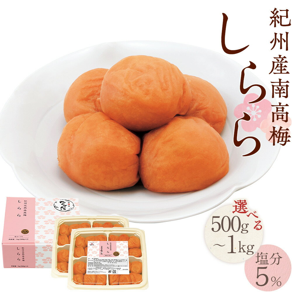 ڤդ뤵Ǽǡ۵ߴ500g1kgߴʬ5%Ŀ|²λߴߴߤʬᤴӤΤ