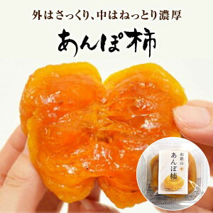【ふるさと納税】あんぽ柿 70g×10個 | あんぽ柿 あんぽがき 柿 果物 くだもの フルーツ 和歌山 特産品 お取り寄せ 食べ物 干し柿 食品 あんぽ 名産品 かき カキ お土産 返礼品 干柿 スイーツ 手土産 ドライフルーツ ギフト ほしがき 贈り物 プレゼント