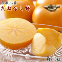 和歌山産たねなし柿 サイズおまかせ 約7.5kg・秀品