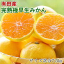 【ふるさと納税】【先行予約】【厳選】紀州有田の完熟極早生みかん約7.5kg(サイズ混合)