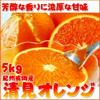 【ふるさと納税】とにかくジューシー清見オレンジ　5kg【2025年3月下旬以降発送】【先行予約】【UT53...