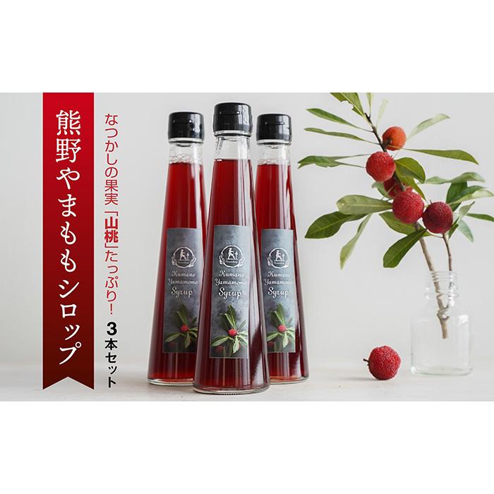 【ふるさと納税】なつかしの果実たっぷり「熊野やまももシロップ」3本セット | 支援 桃 ヤマモモ やまもも 和歌山 和歌山県 お取り寄せ ご当地 シロップ ドレッシング ドリンク 上富田町 返礼品 お土産 果実 飲み物 ジュースのサムネイル