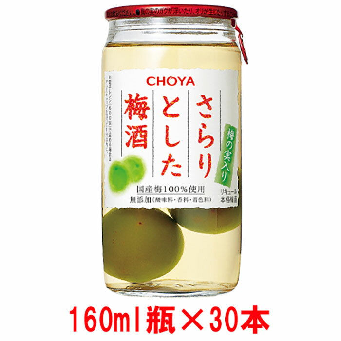 【ふるさと納税】チョーヤ The CHOYA さらりとした梅酒(梅の実入り) 160ml×30本 | 和歌山県 和歌山 上富田 支援 支援品 楽天ふるさと 納税 酒 お酒 アルコール飲料 梅酒 うめ 故郷納税 梅 チョーヤ梅酒 晩酌 リキュール 返礼品 お礼の品 飲料 梅酒の梅 ウメ セット 飲み物のサムネイル