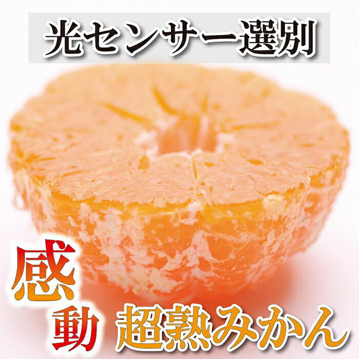 【ふるさと納税】＜先行予約＞家庭用　超熟有田みかん8kg+240g（傷み補償分）【わけあり・訳あり】【光センサー選果】 | 和歌山県 和歌山 上富田町 楽天ふるさと 納税 果物 くだもの フルーツ 旬の果物 旬の味覚 食べ物 食品 柑橘 柑橘類 かんきつ類 みかん ミカン 蜜柑のサムネイル