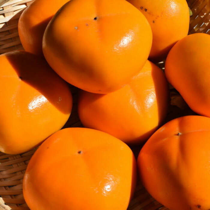 【ふるさと納税】【秋の味覚】和歌山産たねなし柿2L～4Lサイズ 約2kg（化粧箱入り）★2025年9月中旬頃より順次発送【TM39】 | 楽天ふるさと 納税 和歌山県 和歌山 上富田町 柿 かき フルーツ くだもの 果実 お取り寄せ 食べ物 食品 たべもの 特産品