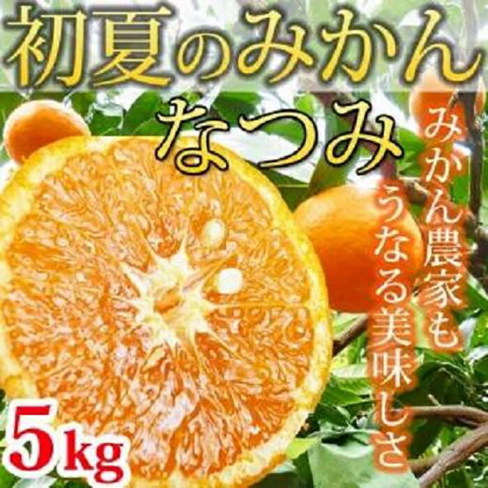 【ふるさと納税】【魚鶴商店厳選】和歌山人気の春の柑橘定期便（不知火・なつみ・甘夏みかん）【定期便全3回】 | 和歌山県 和歌山 上富田町 楽天ふるさと 納税 果物 くだもの フルーツ 旬の果物 旬の味覚 食べ物 食品 柑橘 柑橘類 かんきつ類 みかん ミカン 蜜柑 お取り寄せ