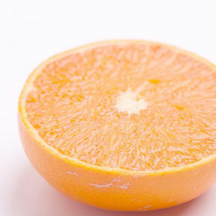 【ふるさと納税】＜3月発送＞家庭用せとか2kg+60g（傷み補償分）【柑橘・春みかんの王様】【光センサー選果・食べ頃出荷】【わけあり・訳あり】 | 和歌山県 和歌山 上富田町 楽天ふるさと 納税 果物 くだもの フルーツ 旬の果物 食べ物 柑橘類 かんきつ類 みかん ミカン 蜜柑のサムネイル