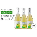 【ふるさと納税】希釈用梅ドリンク 梅ハニップ 3本セット|梅...