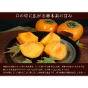 和歌山の種なし柿　約7.5kg 秀品：サイズ・品種おまかせ