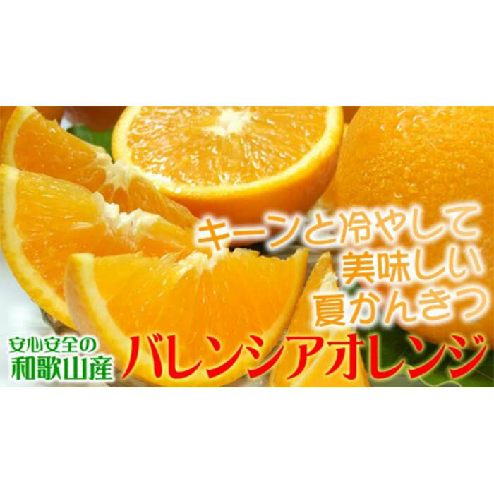 【ふるさと納税】田村産バレンシアオレンジ[約7kg]湯浅町田村産/紀伊国屋文左衛門本舗[2020年6月下旬〜発送]|オレンジ 和歌山 お土産 バレンシアオレンジ 和歌山県 特産品 お取り寄せ 果物 くだもの 柑橘 フルーツ 果実 ご当地 ご当地グルメ プレゼント ふるさと 納税 支援