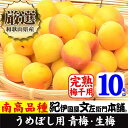 ・ふるさと納税よくある質問はこちら ・寄付申込みのキャンセル、返礼品の変更・返品はできません。あらかじめご了承ください。 ・ご要望を備考に記載頂いてもこちらでは対応いたしかねますので、何卒ご了承くださいませ。 ・寄付回数の制限は設けておりません。寄付をいただく度にお届けいたします。 商品概要 【発送時期】2024年6月上旬〜6月下旬に順次発送 ※お届け日を指定いただくことができません。 【期間限定】〜2024年6月14日（予定） ※在庫がなくなり次第終了となります。 もぎたて新鮮な梅　貴方の自宅までそのまま届きます 梅の生産量日本一の本場紀州和歌山からお届けいたします。 ご自宅でオリジナルの梅干し、梅酒、ジャムを作ってみませんか。 私ども紀伊国屋文左衛門本舗が納得できる青梅を手際よく選別、箱詰めして高い鮮度のまんま、お手元にお届けしております。 【注意事項】 ※果実のサイズをご指定いただくことはできません。 ※より鮮度を保つため、クール冷蔵便にてお送りさせていただきます。 ※自然の恵みで実る果実です。収穫時期は天候等で大きく左右されます。更に雨の日に収穫すると痛みが生じますので、雨の日は収穫いたしません。この事から、お届け日を指定いただくことができません。 ※青梅は箱詰め・出荷からお届けまでの間に果実より水分を放出いたします。お客様の元へお届けの時点で、ある程度重量が目減り（5%前後）してしまいます。そのため箱詰め時は、歩留まり分として5％増量し合計10.5kgお詰めさせていただいております。 ※画像はイメージです。 ※お礼品につきましては、出荷の際検品後発送しておりますが、万一お礼品に問題がございましたら破棄や加工する前にご連絡ください。 事業者名：紀伊国屋文左衛門本舗 連絡先：0737-65-0700 関連キーワード：フルーツ 果物 くだもの 食品 人気 おすすめ 送料無料 内容量・サイズ等 10kg（箱詰め時計量）　4Lもしくは3Lサイズ（指定不可） 配送方法 冷蔵 発送期日 2024年6月上旬〜6月下旬に順次発送 ※お届け日を指定いただくことができません。 アレルギー 特定原材料等28品目は使用していません ※ 表示内容に関しては各事業者の指定に基づき掲載しており、一切の内容を保証するものではございません。 ※ ご不明の点がございましたら事業者まで直接お問い合わせ下さい。 名称 青梅 産地名 和歌山県上富田町 事業者情報 事業者名 紀伊国屋文左衛門本舗 連絡先 0737-65-0700 営業時間 9:30-17:00 定休日 日曜日、年末年始、お盆、一部の祝祭日など 関連商品【ふるさと納税】10kg【緑】■特大サイズ 南高梅 梅酒用 フレッシュ...【ふるさと納税】10kg【緑】大サイズ 厳選南高梅 南高梅 梅酒用 フ...【ふるさと納税】10kg 黄色【完熟】大サイズ 南高梅 梅干用フレッシ...45,000円42,000円42,000円【ふるさと納税】黄色【完熟】5kg ■特大サイズ 南高梅 梅干用フレッ...【ふるさと納税】黄色【完熟】5kg 大サイズ 南高梅 梅干用フレッシュ...【ふるさと納税】3kg　黄色【完熟】■特大サイズ 南高梅 梅干用フレッ...24,000円22,000円15,000円【ふるさと納税】3kg【緑】■特大サイズ 南高梅 梅酒用 フレッシュ青...【ふるさと納税】3kg 黄色【完熟】大サイズ 南高梅 梅干用フレッシュ...【ふるさと納税】3kg 【緑】大サイズ 南高梅 梅酒用 フレッシュ青梅...15,000円14,000円14,000円【ふるさと納税】【緑】5kg ■特大サイズ 南高梅 梅酒用 フレッシュ...【ふるさと納税】【緑】5kg 大サイズ 南高梅 梅酒用 フレッシュ青梅...【ふるさと納税】【梅干・梅酒用】（MorL−10Kg）熟南高梅＜202...24,000円22,000円50,000円「ふるさと納税」寄付金は、下記の事業を推進する資金として活用してまいります。 （1）文化芸術及び生涯スポーツの振興に資する事業 （2）子どもたちの健全な育成と安心安全なまちづくりに資する事業 （3）自然環境の保全に資する事業 （4）その他目的達成のために町長が必要と認める事業