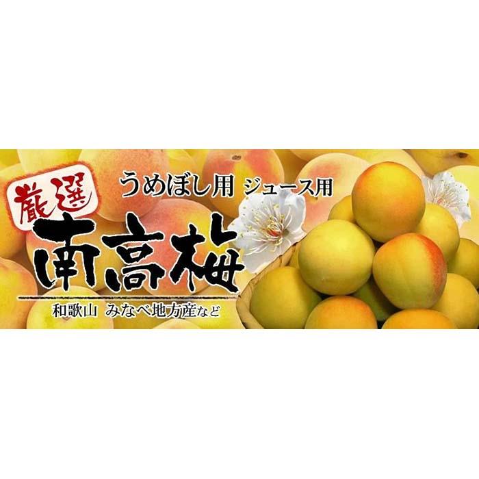 【ふるさと納税】黄色【完熟】5kg ■特大サイズ 南高梅 梅干用フレッシュ青梅（生梅）／紀伊国屋文左衛門本舗