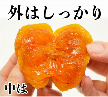 【ふるさと納税】あんぽ柿 70g×10個 | あんぽ柿 あんぽがき 柿 果物 くだもの フルーツ 和歌山 和歌山県 特産品 お取り寄せ 取り寄せ ご当地 食べ物 支援 干し柿 上富田町 食品 あんぽ 名産品 かき カキ お土産 返礼品 干柿 スイーツ おやつ 手土産 ドライフルーツ ギフト