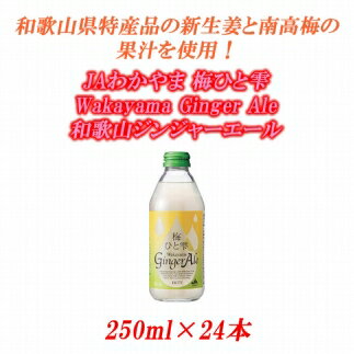 JAわかやま 梅ひと雫 Wakayama Ginger Ale 和歌山ジンジャーエール 250ml ×24本|ジンジャーエール 和歌山 お土産 和歌山県 特産品 お取り寄せ 取り寄せ ご当地 ジンジャ