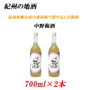 【ふるさと納税】■紀州の地酒 中野梅酒 なかのうめしゅ14度 720ml×2本 | 酒 地酒 梅酒 梅 紀州 お酒 和歌山 和歌山県 特産品 お取り寄せ 取り寄せ ご当地 アルコール飲料 お酒セット 土産 ご当地おみやげ 支援 南高梅 うめ 上富田町 返礼品 お土産 紀州梅 セット 名産品