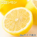 産直 和歌山産レモン約3kg サイズ混合