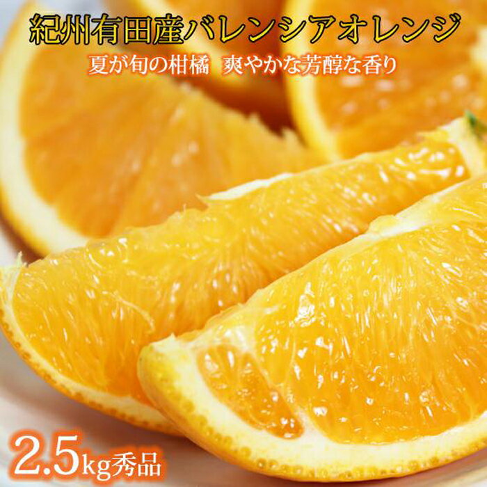 【ふるさと納税】【2024年発送】秀品　希少な国産バレンシアオレンジ　2．5kg