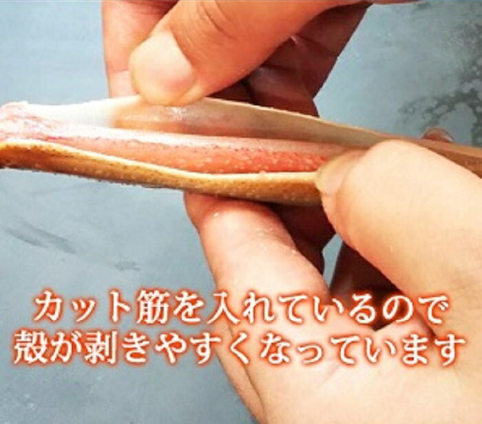 【ふるさと納税】【ご家庭用】カット筋入 生ずわいがに 約1kg|和歌山 和歌山県 上富田町 返礼品 支援 お取り寄せ ご当地 お土産 ズワイ蟹 ズワイガニ ずわいガニ 蟹 カニ 魚介類 水産物 食品 食べ物 カニしゃぶ しゃぶしゃぶ 取り寄せ グルメ お礼の品 楽天ふるさと 納税