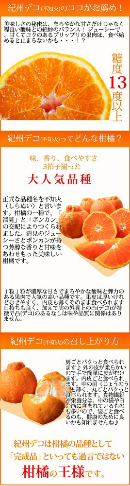 【ふるさと納税】高級ブランド田村の完熟紀州デコ(不知火) | 和歌山 和歌山県 上富田町 返礼品 支援 お取り寄せ ご当地 お土産 みかん ミカン 特産品 名産品 果物 くだもの フルーツ 柑橘 柑橘類 かんきつ類 果実 食品 美味しい おいしい お礼の品 楽天ふるさと 納税 農産物