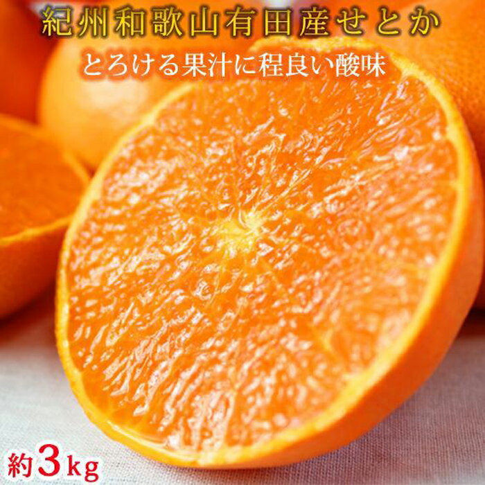 【ふるさと納税】とろける食感！ジューシー柑橘　せとか　約3kg