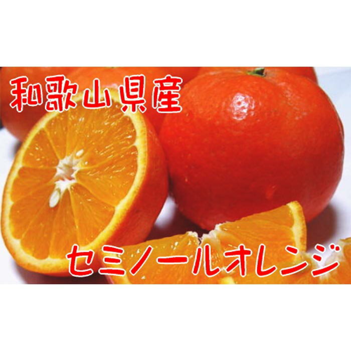 【ふるさと納税】【2022年4月発送】【春の美味】【農家直送】爽快カンキツ/セミノールオレンジ（ご家庭用）4kg