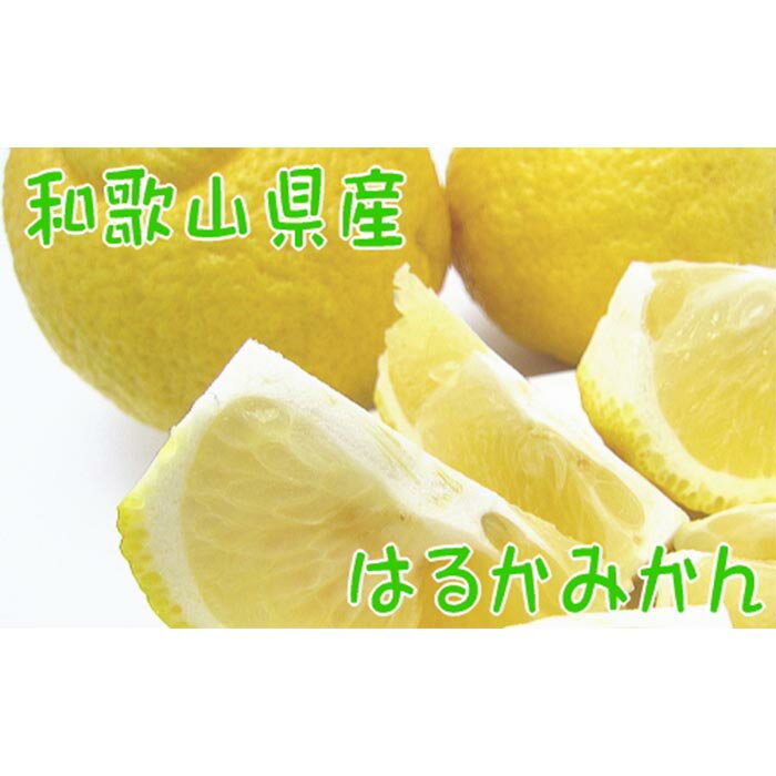 【ふるさと納税】【北海道・沖縄配送不可】【農家直送】爽やかカンキツ はるかみかん（ご家庭用）4kg | 和歌山県 和歌山 上富田町 楽天ふるさと 納税 支援 お取り寄せ 柑橘 柑橘類 フルーツ 果物 くだもの ご当地 特産品 名産品 名産 みかん ミカン 蜜柑 自宅用 かんきつ類