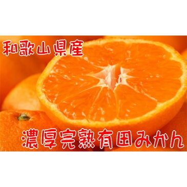 【ふるさと納税】期間限定 濃厚 完熟 有田 みかん ご家庭用 約5.5kg | 和歌山 蜜柑 果物 くだもの フルーツ 先行 予約 数量限定 お取り寄せ ご当地 【2022年12月上旬~12月下旬発送】【北海道・沖縄配送不可】 ミカン 旬の果物 旬のフルーツ 有田みかん 柑橘類 かんきつ類