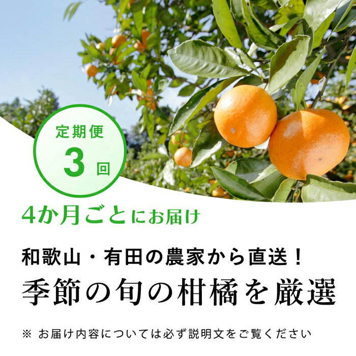 【ふるさと納税】季節の柑橘3kg【和歌山有田】厳選【4か月ごと/全3回】フルーツ定期便・頒布会 | 楽天ふるさと 納税 和歌山県 上富田町 果物 フルーツ くだもの 果実 旬の果物 柑橘 柑橘類 美味しい みかん ミカン 蜜柑 オレンジ 詰め合わせ かんきつ類 旬の味覚 定期便
