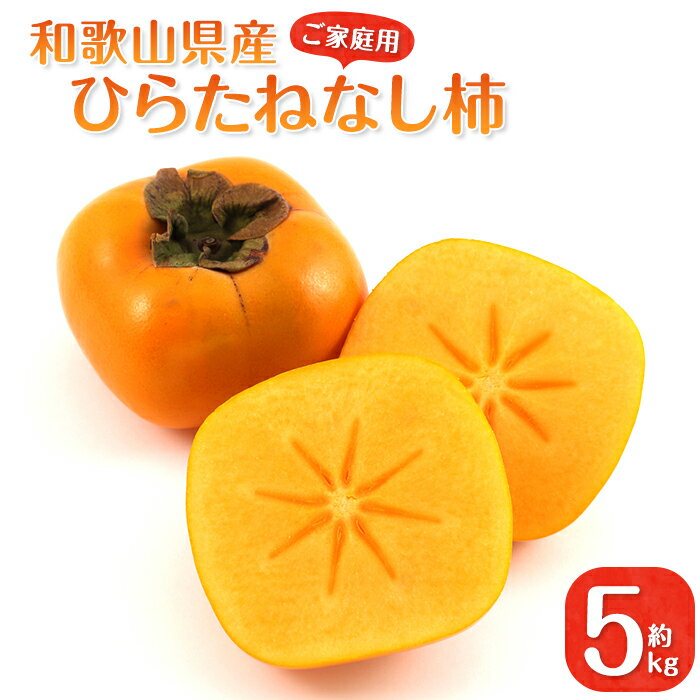 【ふるさと納税】◆先行予約◆和歌山県産 平核無柿〈ご家庭用〉 約5kg 【2023年10月上旬以降出荷】 | 和歌山 和歌山県 上富田町 返礼品 支援 お取り寄せ ご当地 お土産 柿 かき カキ 特産品 名産品 果物 くだもの フルーツ たねなし 種無し 食品 美味しい お礼の品のサムネイル