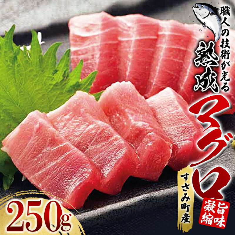 楽天ふるさと納税　【ふるさと納税】すさみの熟成マグロ　約250g /まぐろ 鮪 刺身 新鮮 鮮度 冷凍 和歌山県 すさみ町